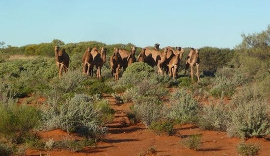 Share Your Thoughts on the Land Administration Amendment Bill 2016